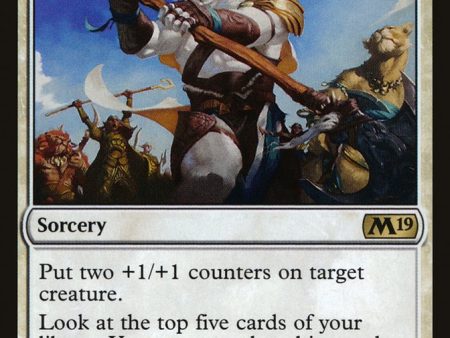 Ajani s Influence [Core Set 2019] Cheap