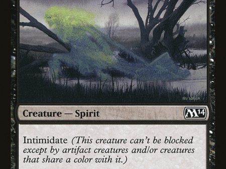 Accursed Spirit [Magic 2014] Sale