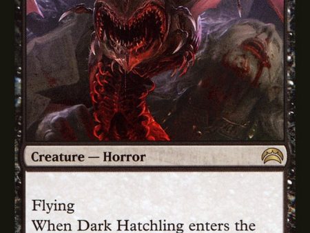 Dark Hatchling [Planechase 2012] Discount