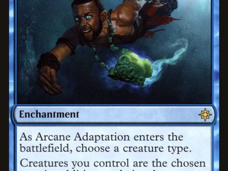 Arcane Adaptation [Ixalan] Discount