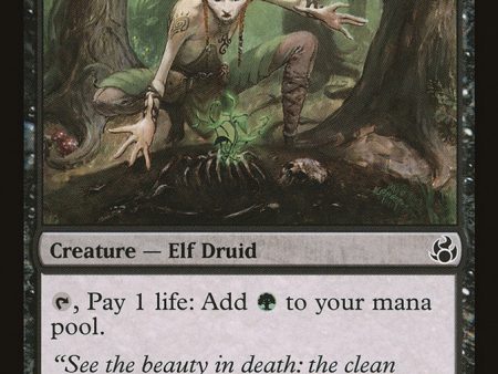 Blightsoil Druid [Morningtide] on Sale